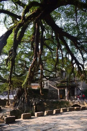 博皓游記 | 夏風(fēng)微醺的綺夢，領(lǐng)略賀州黃姚古鎮(zhèn)、姑婆山閑憩之美-12