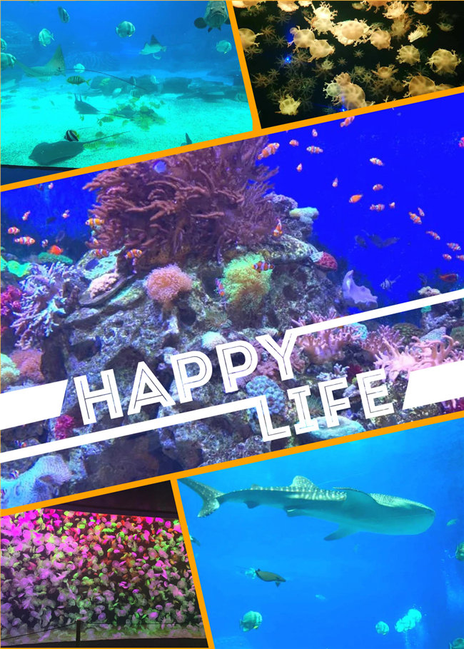 廣東博皓親子游：珠海長隆海洋王國，探索海洋生物的奧秘，奇妙的動物世界