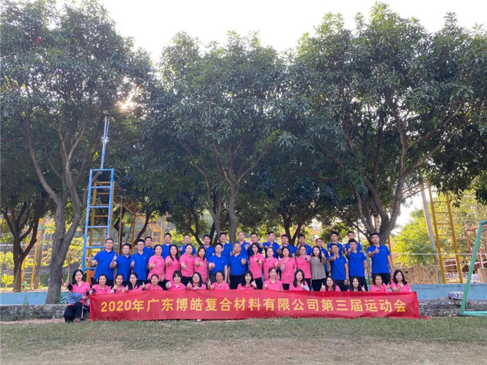 廣東博皓是華南乃至中國品種最齊全、服務最快捷的復合材料(玻璃鋼)原（輔）材料供應商