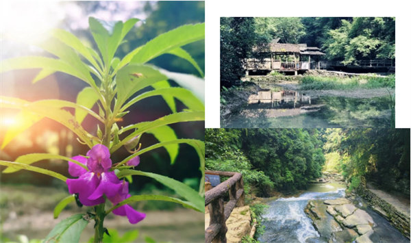 “湘”約鳳凰，相守未來——2022博皓快樂湖南行    -34