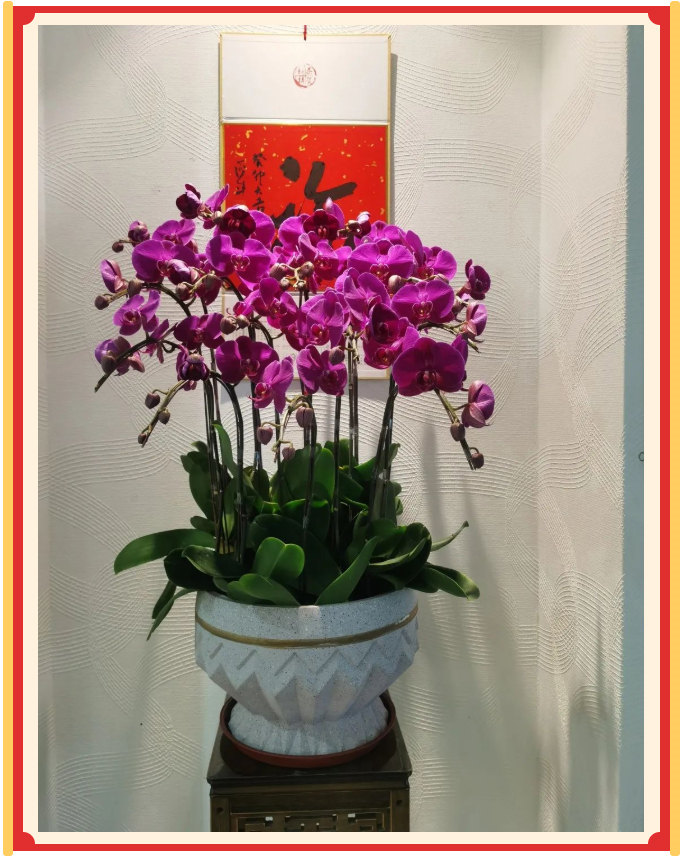 廣東博皓開工大吉丨金虎騰躍，兔來運(yùn)轉(zhuǎn)           -23