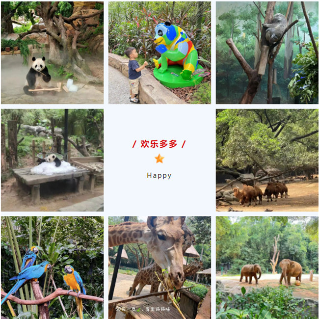 大手牽小手，快樂(lè)親子游！廣東博皓2023年親子游活動(dòng)        -8