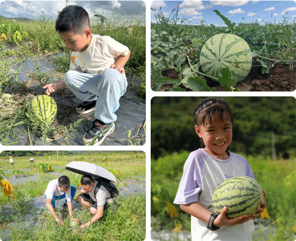 趣游盛夏，一路童行—2024年廣東博皓親子游   -12
