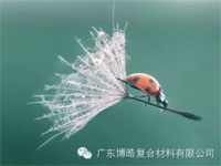 【博皓感悟】成功，要“借力”，不要“盡力”