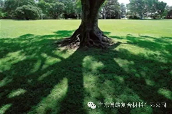 【博皓感悟】欲為大樹(shù)，莫與草爭(zhēng)-6