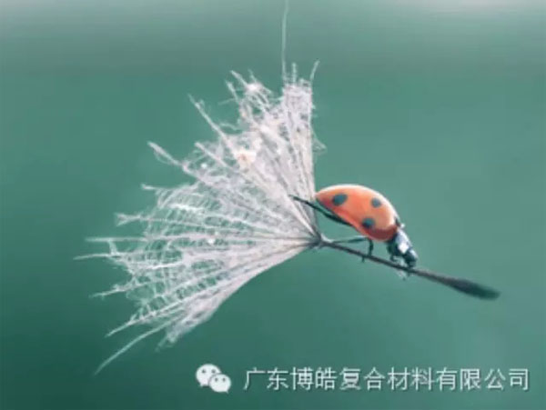 【博皓感悟】成功，要“借力”，不要“盡力”